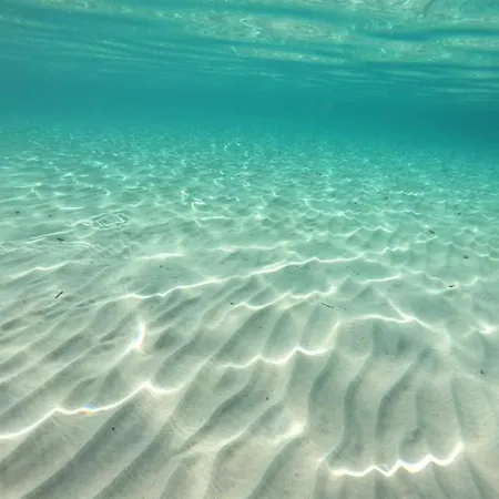 Minzoni Tony アパート *